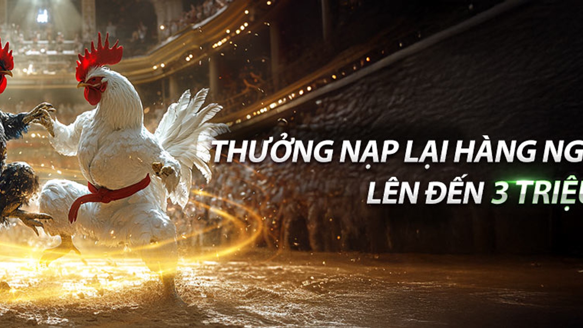 Hình ảnh hoàn trả hàng ngày 8Kbet