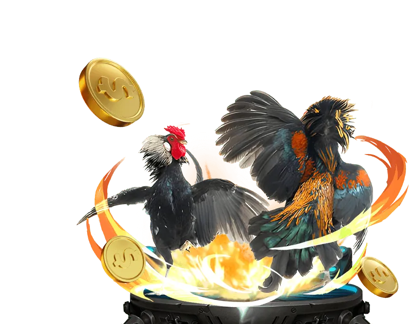 Biểu tượng trò chơi Đá gà tại 8kbet cc